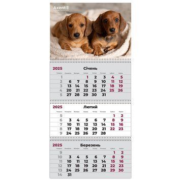 Календар настінний квартальний 2025 Axent Dogs 1 8803-25-16-A, 3 пружини 8803-25-16-A фото