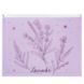 Папка на блискавці zip-lock Axent 1497-37-A Lavender-2, А4+ 1497-37-A фото 1