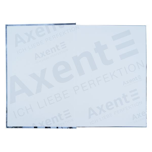 Книга записна Axent Glory 8422-566-A, А4, 96 аркушів, клітинка 8422-566-A фото
