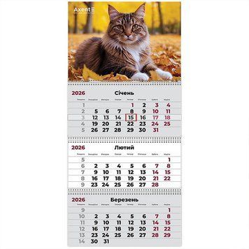 Календар настінний квартальний 2026 Axent Cats 2 8803-26-14-A, 3 пружини 8803-26-14-A фото