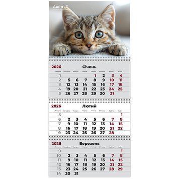 Календар настінний квартальний 2026 Axent Cats 1 8803-26-13-A, 3 пружини 8803-26-13-A фото