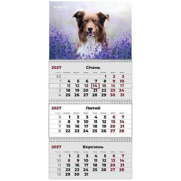 Календар настінний квартальний 2027 Axent Dogs 1 8803-27-10-A, 3 пружини 8803-27-10-A фото