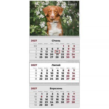 Календар настінний квартальний 2027 Axent Dogs 2 8803-27-11-A, 3 пружини 8803-27-11-A фото