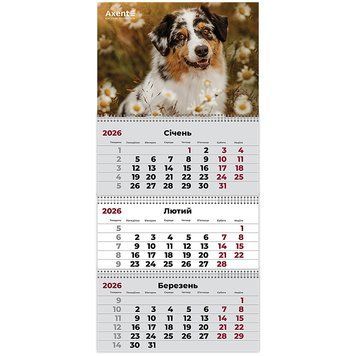 Календар настінний квартальний 2026 Axent Dogs 1 8803-26-16-A, 3 пружини 8803-26-16-A фото